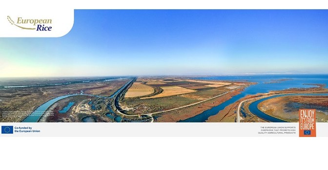 European Rice: Adding Value to Staple Diets