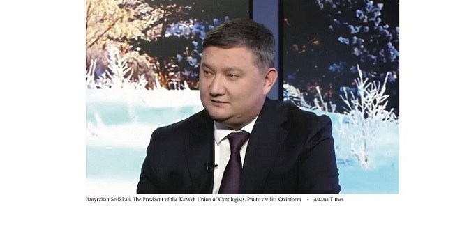 Reflects the Values of Nomadic…FCI Preliminarily Recognizes Kazakh Tazy as Official Dog Breed