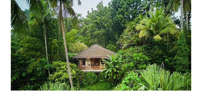 The Art of Wellness: Your Transformative Journey at The Farm at San Benito