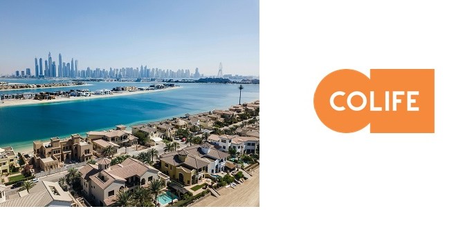 New Real Estate Trend: Foreign Investors in Dubai Shift Focus from Apartments to Plots