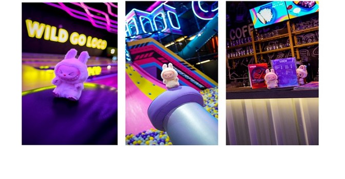 Loco Bear Unveils Labubu